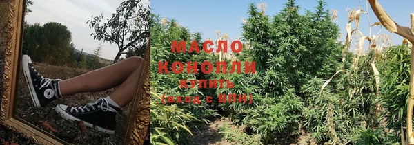 каннабис Аркадак